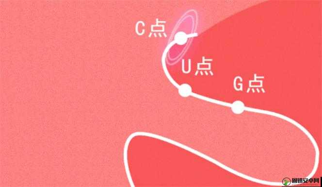 新手自 W 到高 C 教程视频：详细步骤与技巧分享